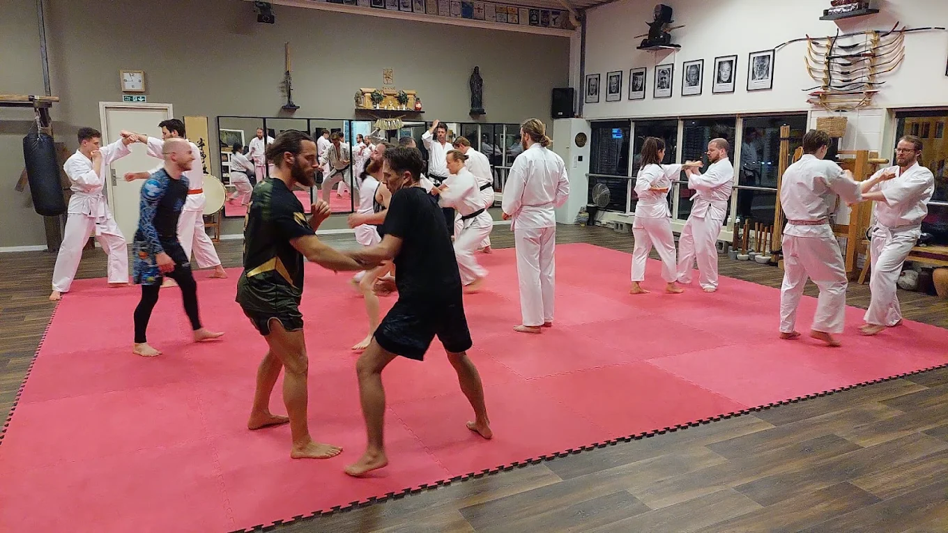 Sam Lung Martial Arts Oss